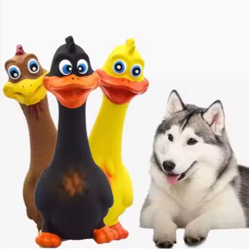 Screaming Duck Chew Toy