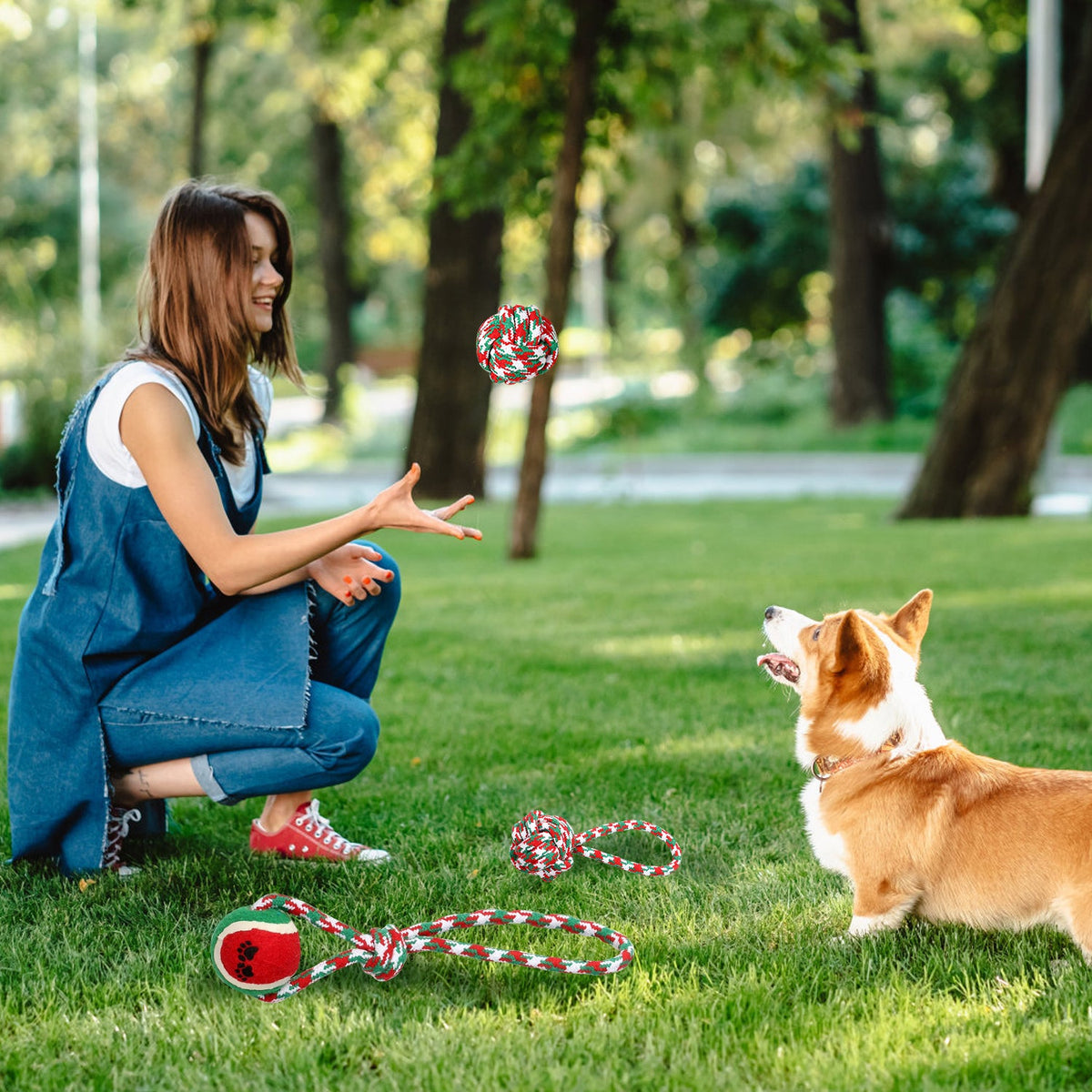 Festive Rope Chew Set (5 Piece)