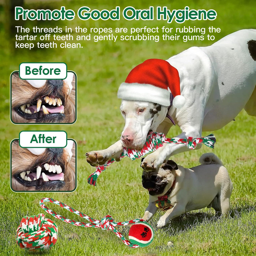 Festive Rope Chew Set (5 Piece)