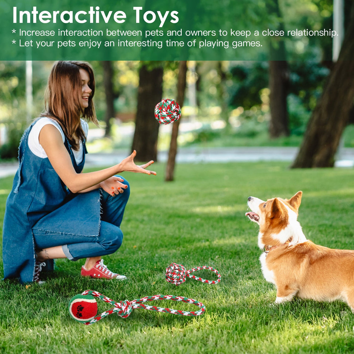 Festive Rope Chew Set (5 Piece)