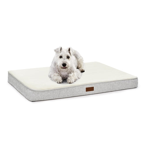 Sunday Snooze Orthopedic Dog Bed