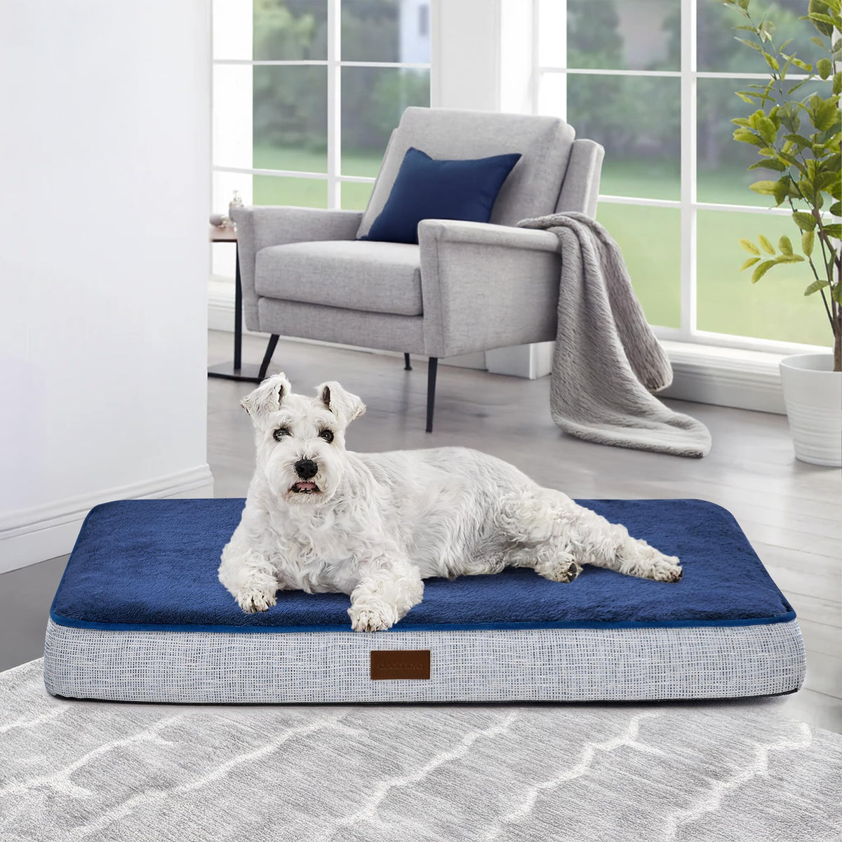 Sunday Snooze Orthopedic Dog Bed