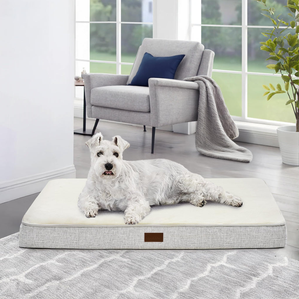 Sunday Snooze Orthopedic Dog Bed