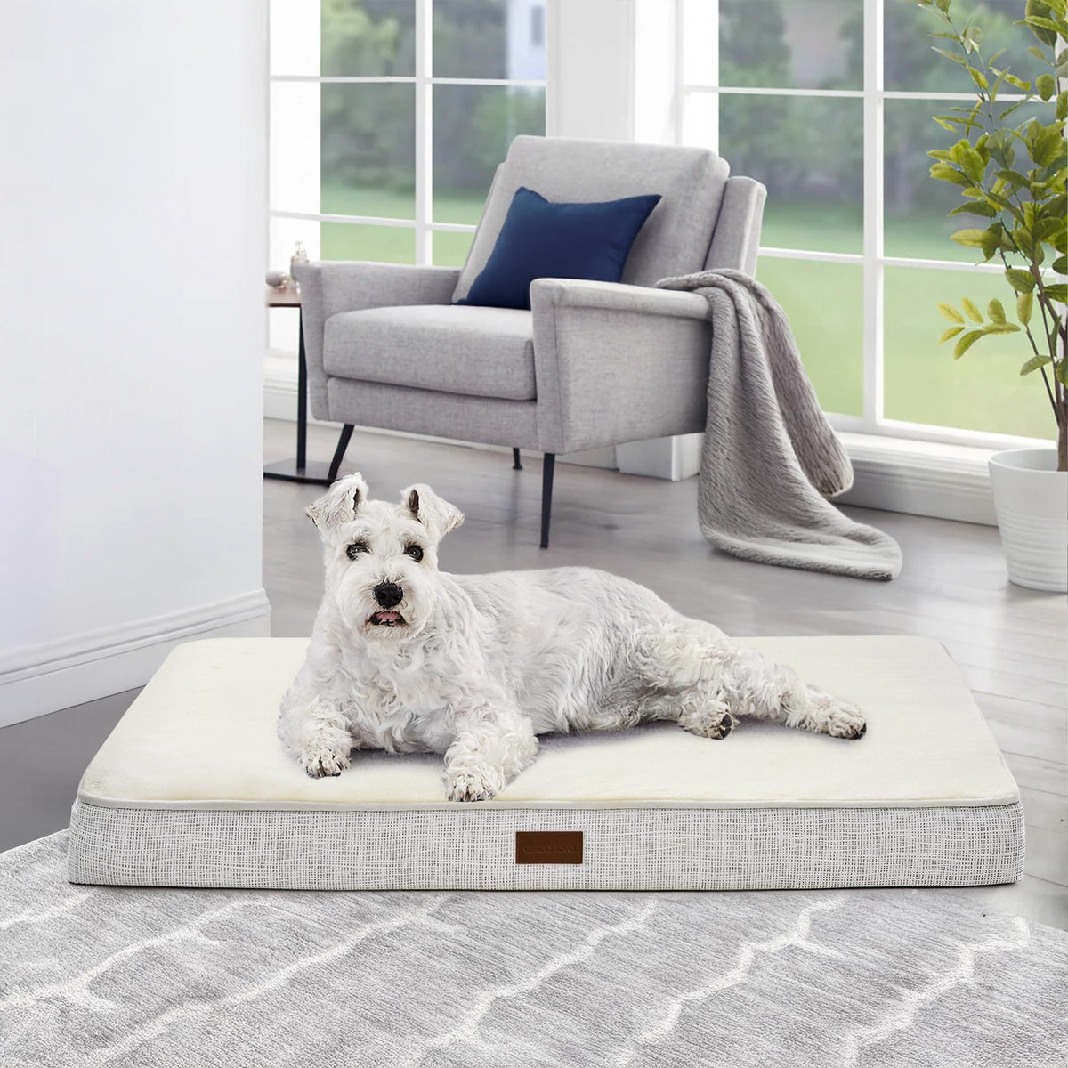 Sunday Snooze Orthopedic Dog Bed