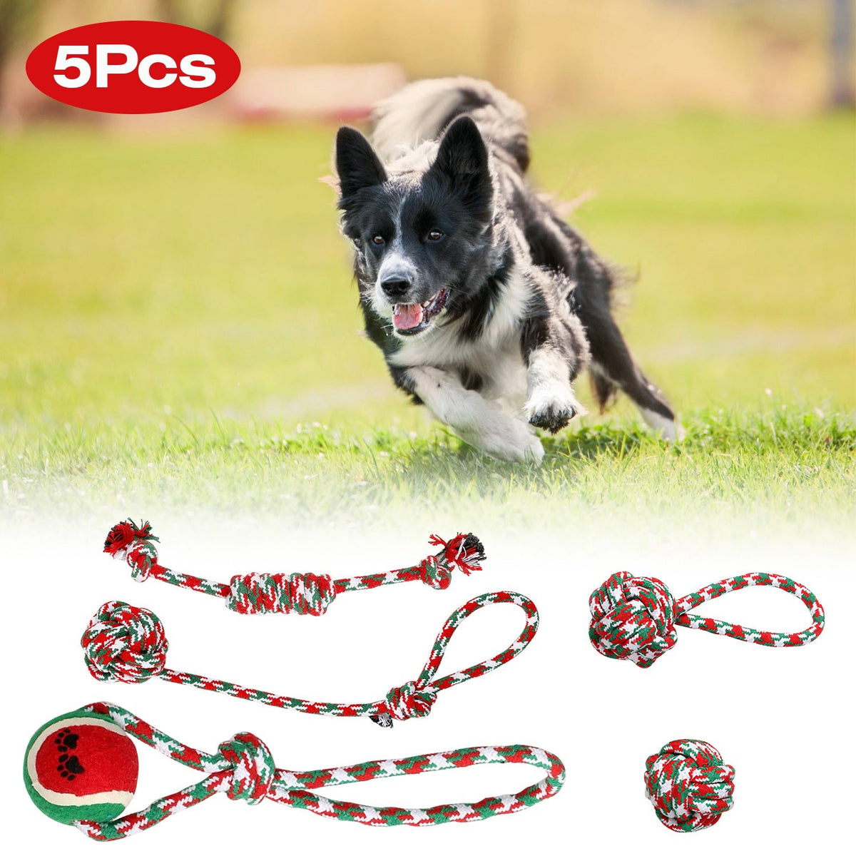 Festive Rope Chew Set (5 Piece)