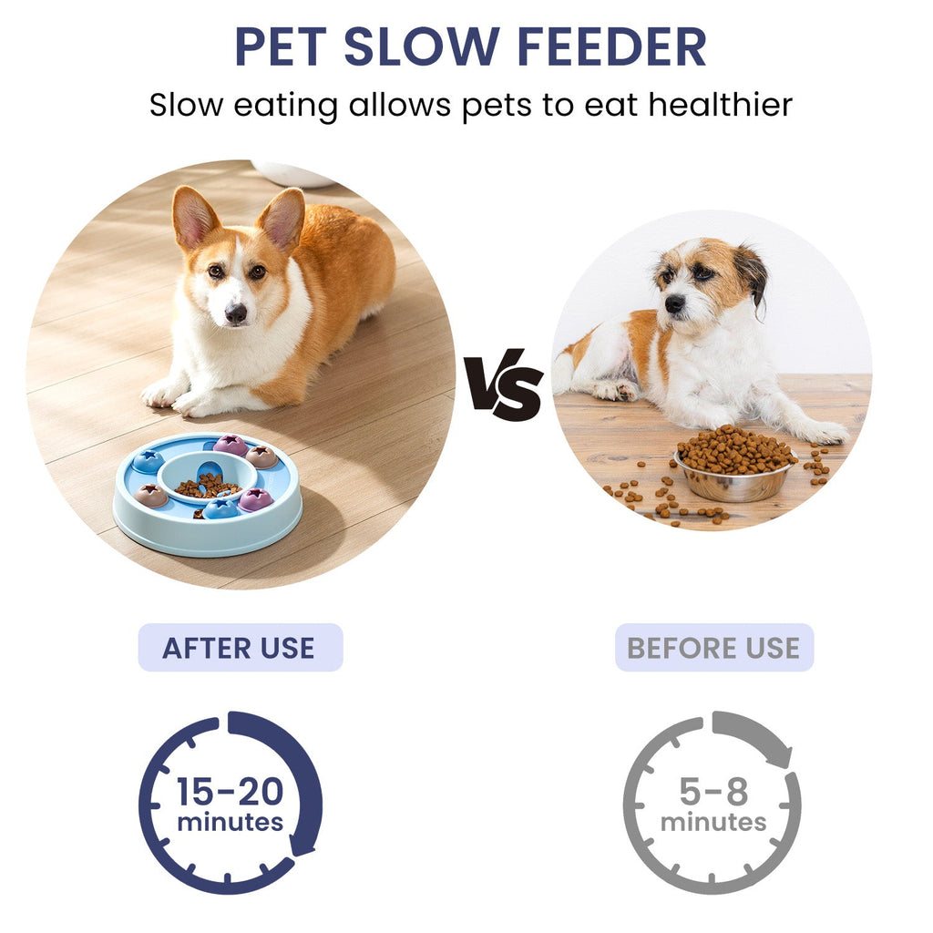 Sniff & Solve Puzzle Feeder
