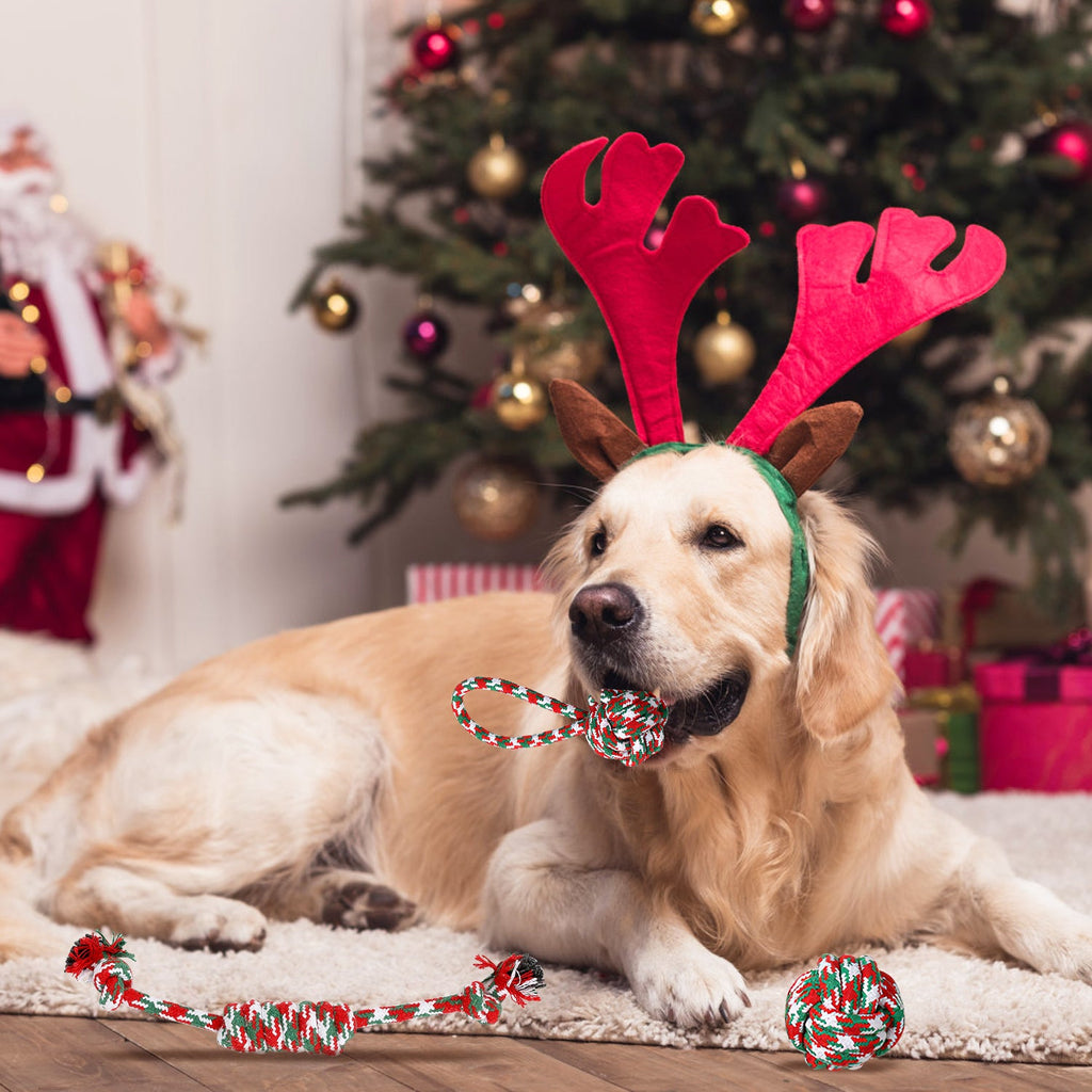 Festive Rope Chew Set (5 Piece)