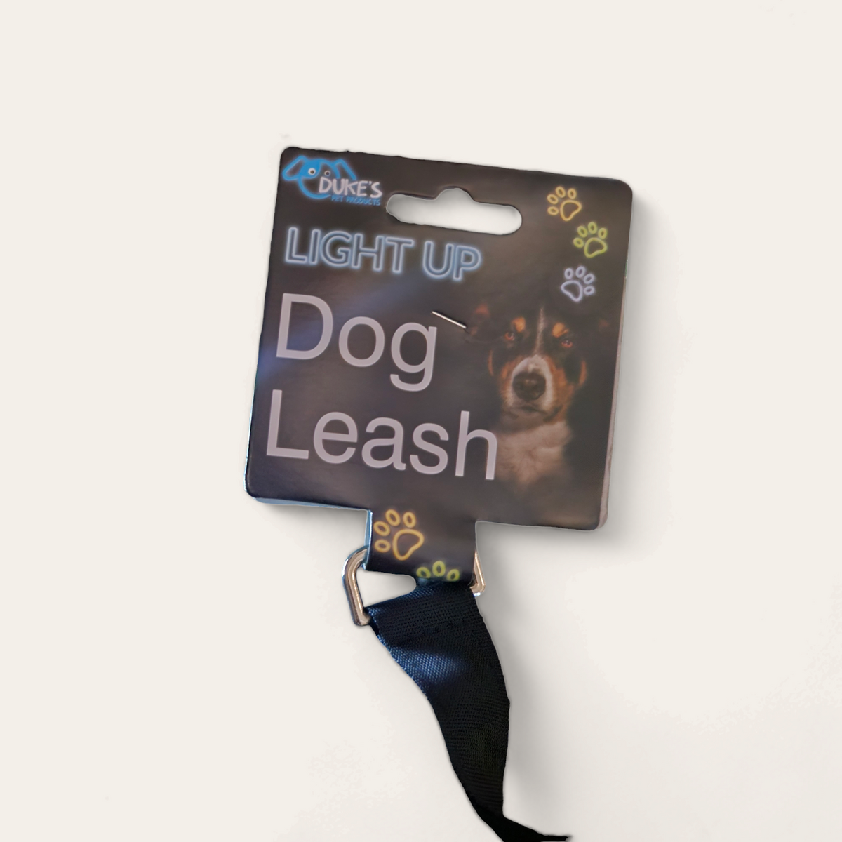 Glow Getter Light-Up Dog Leash