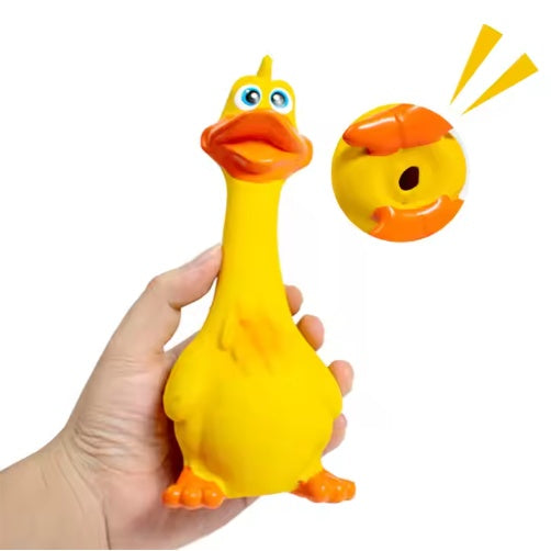 Screaming Duck Chew Toy