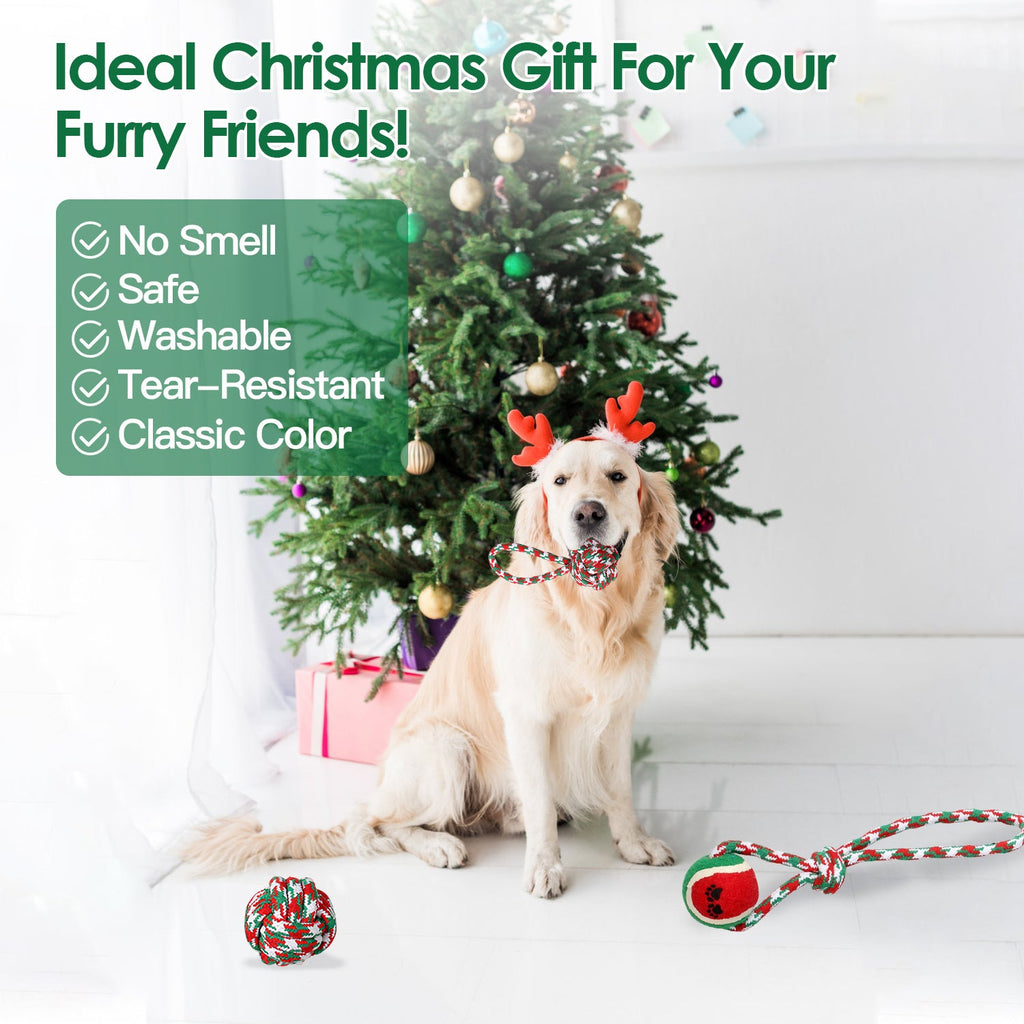 Festive Rope Chew Set (5 Piece)